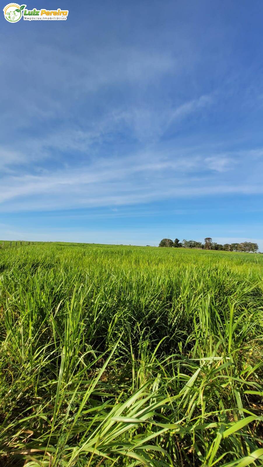 Terreno à venda, 60m² - Foto 4