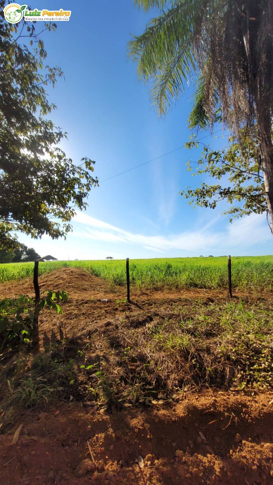 Terreno à venda, 60m² - Foto 11