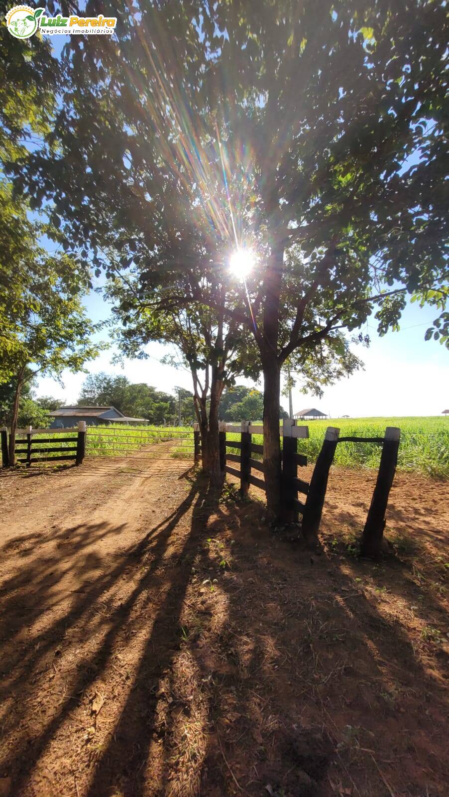 Terreno à venda, 60m² - Foto 12