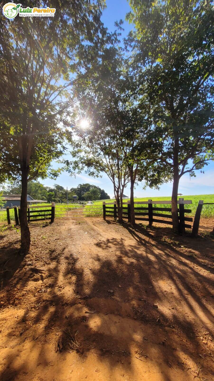 Terreno à venda, 60m² - Foto 13