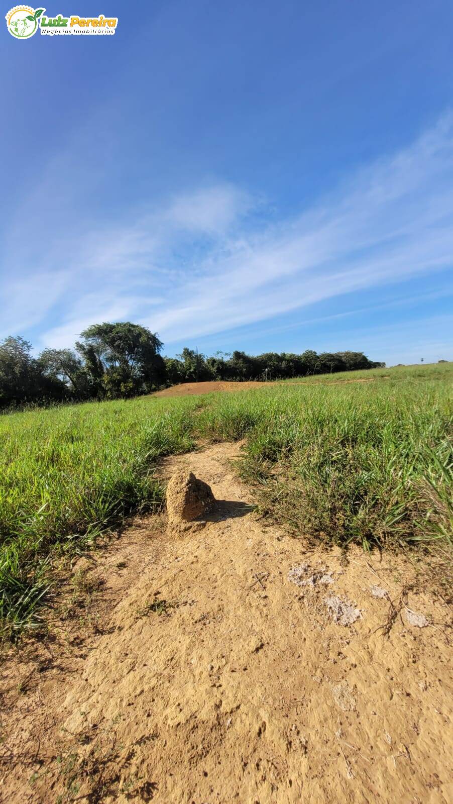 Terreno à venda, 60m² - Foto 14