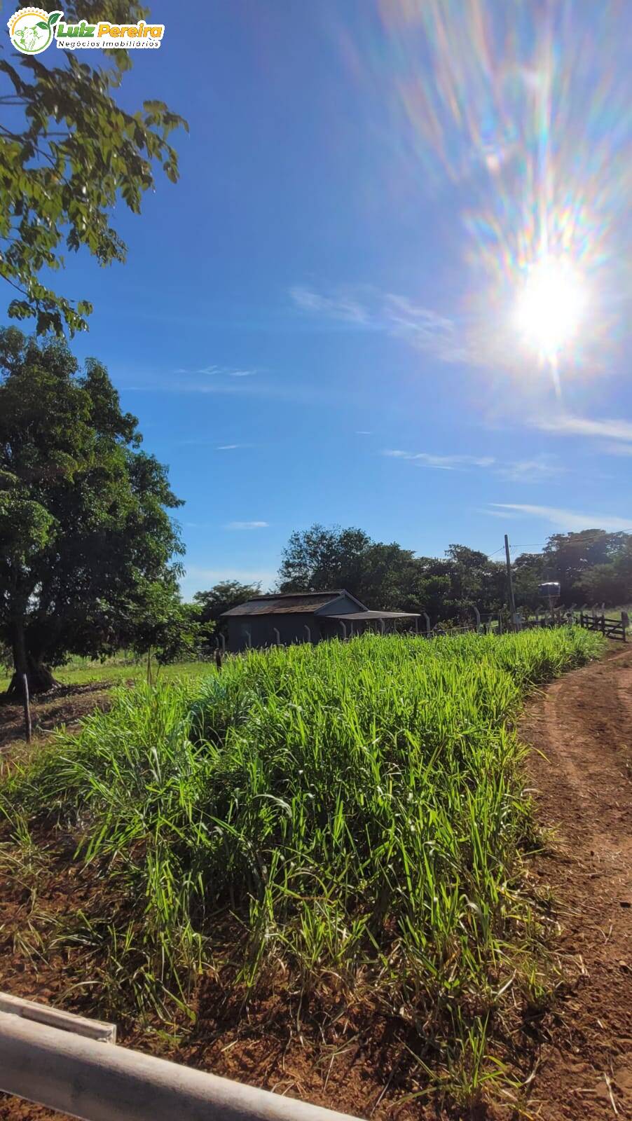 Terreno à venda, 60m² - Foto 2