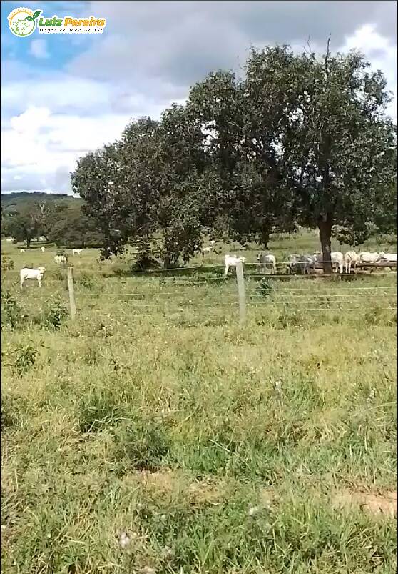 Terreno à venda, 249m² - Foto 1