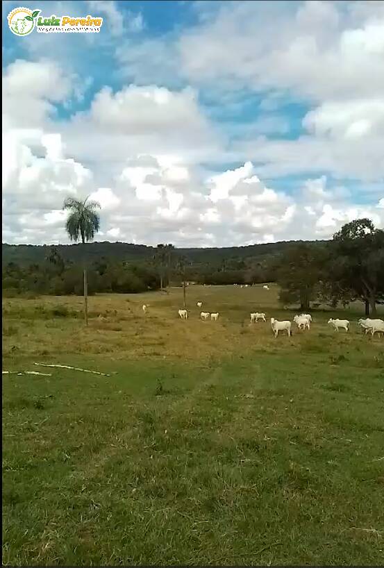 Terreno à venda, 249m² - Foto 2