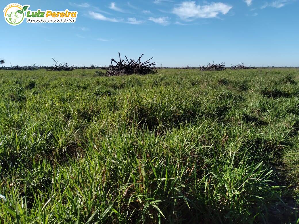 Terreno, 1018 m² - Foto 7