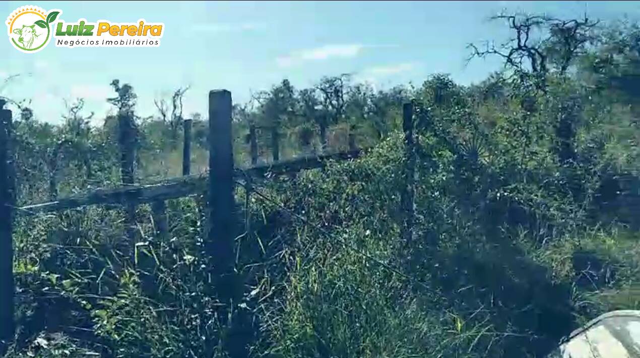 Terreno, 1018 m² - Foto 9