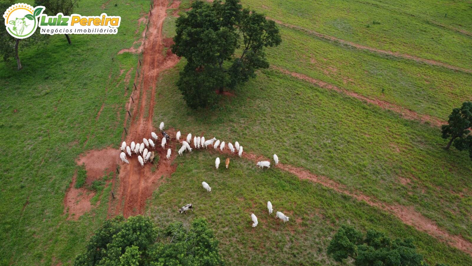 Terreno, 372 m² - Foto 3