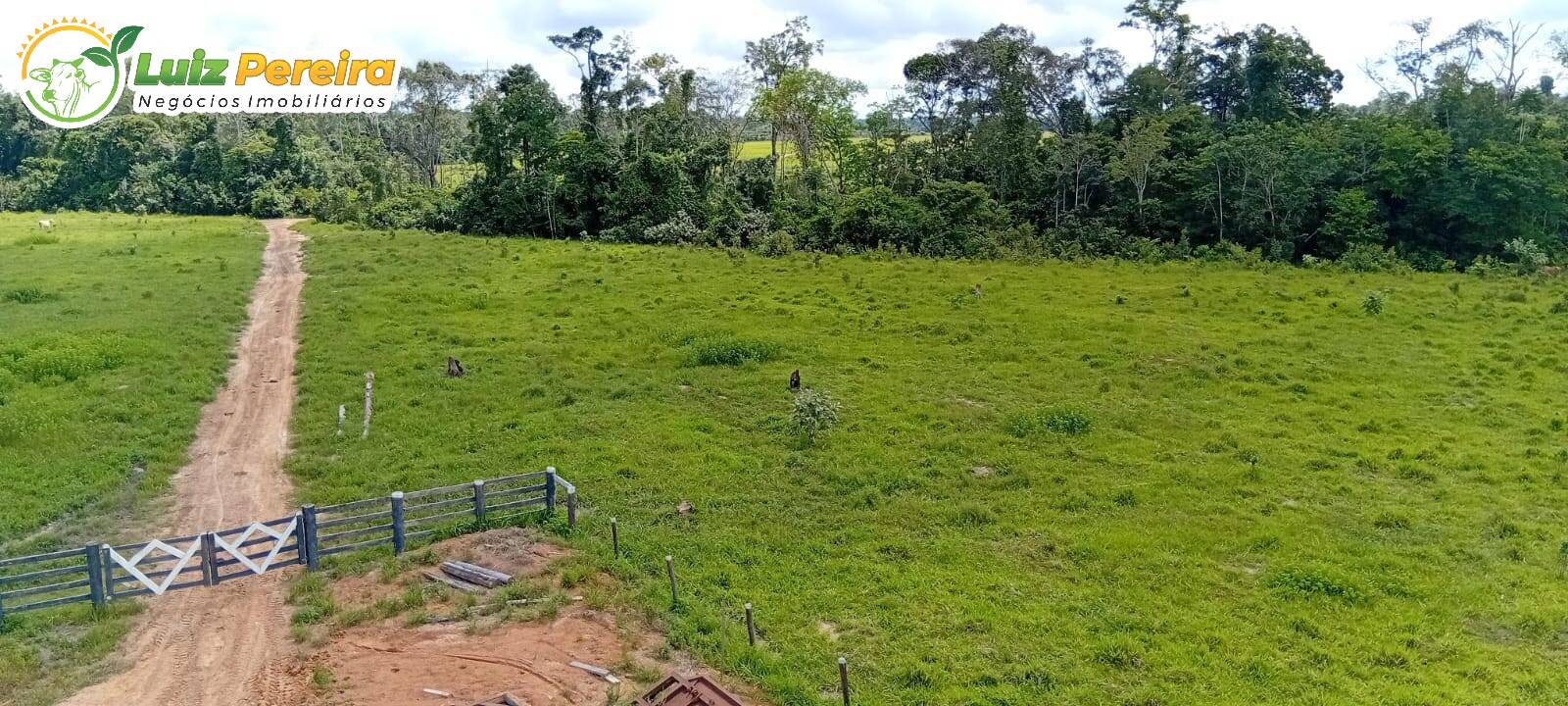 Terreno à venda, 1306m² - Foto 4