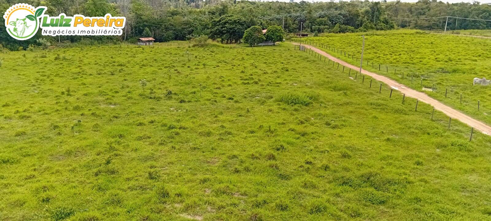 Terreno à venda, 1306m² - Foto 5