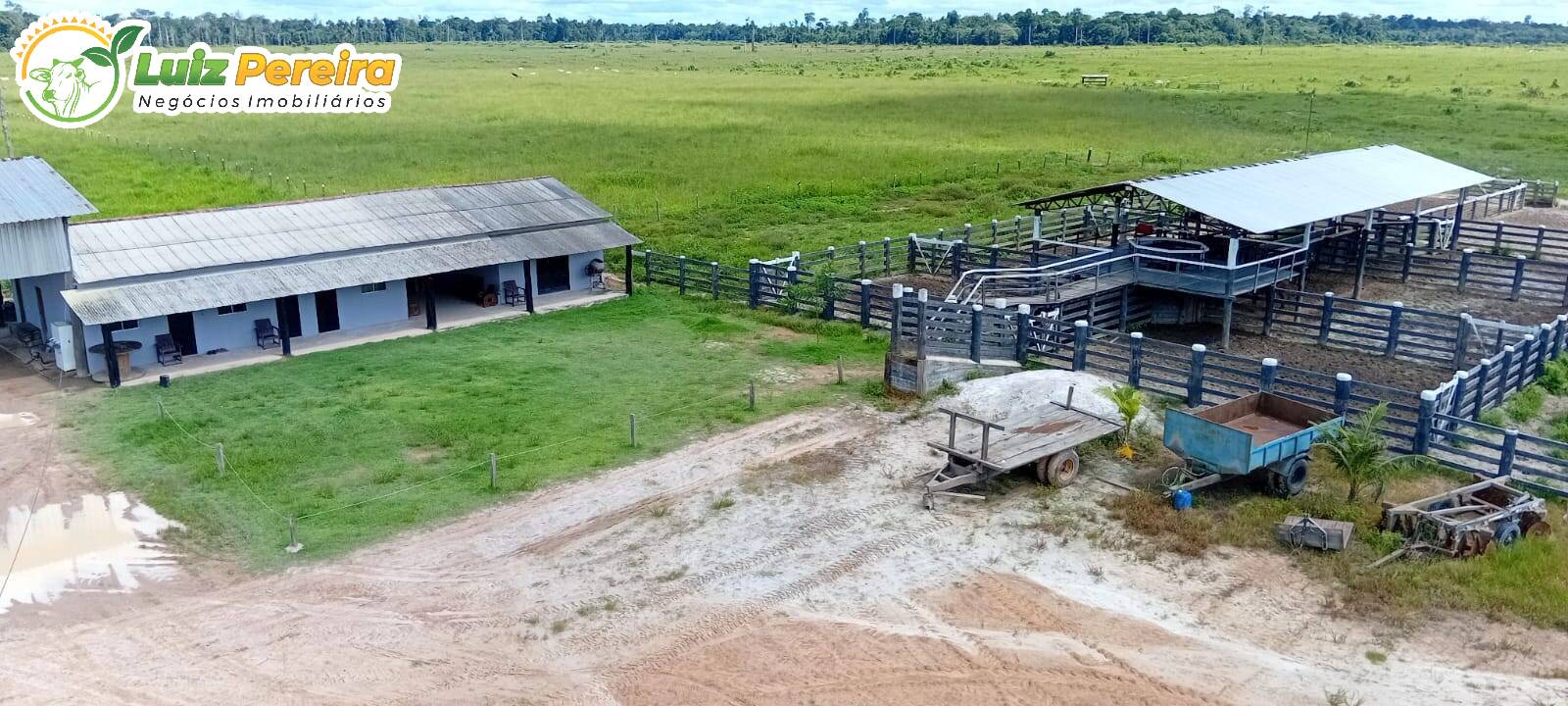 Terreno à venda, 1306m² - Foto 12