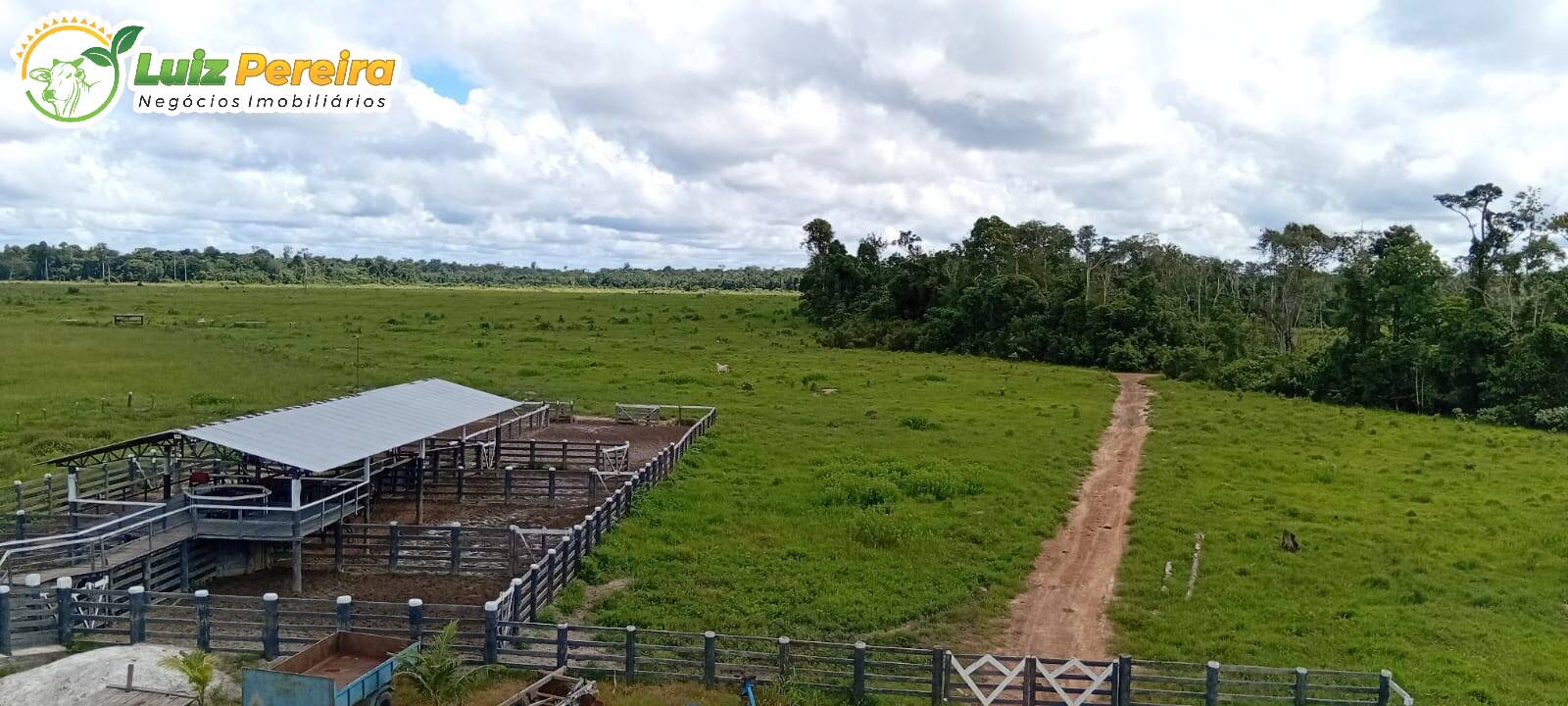 Terreno à venda, 1306m² - Foto 2