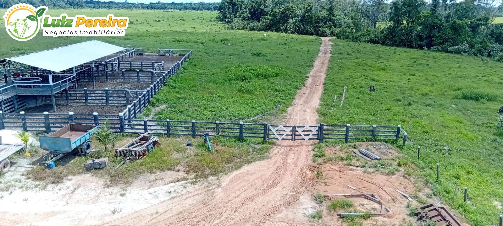 Terreno à venda, 1306m² - Foto 7