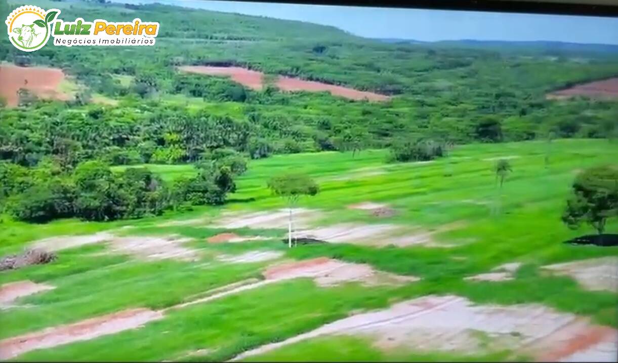 Terreno à venda, 372m² - Foto 2