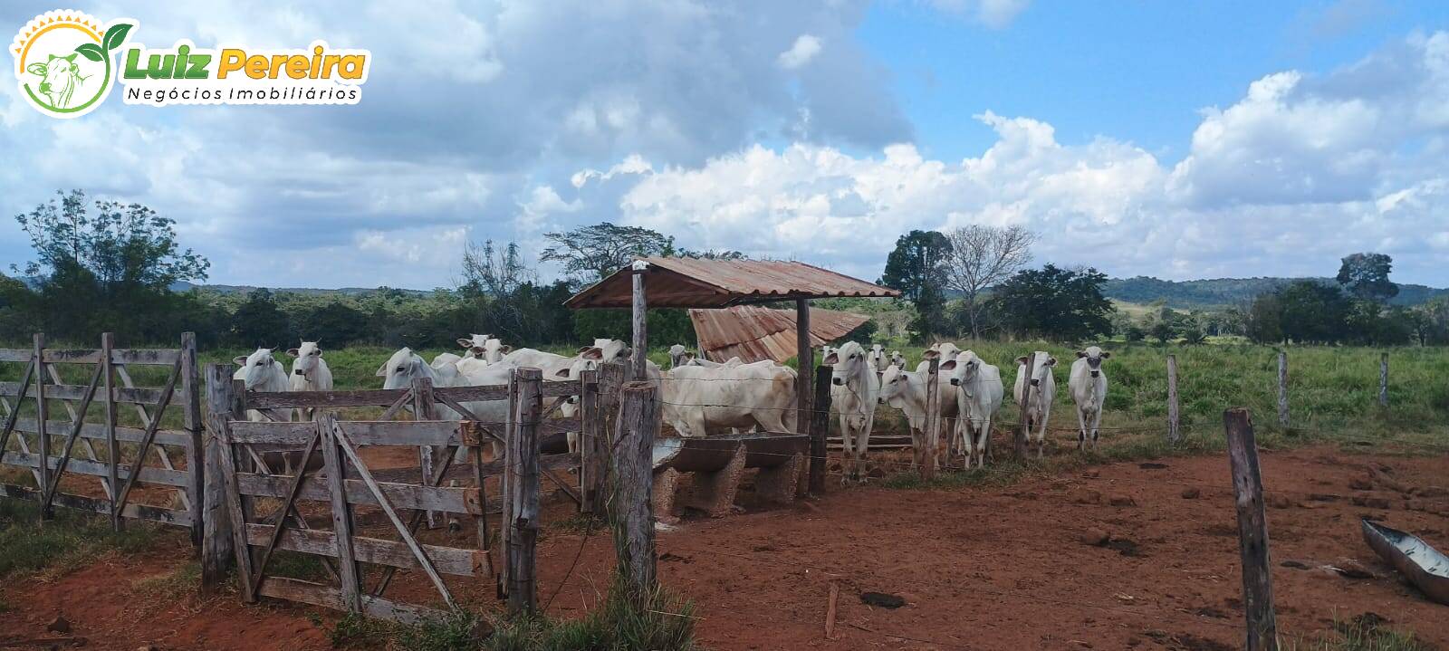 Terreno à venda, 851m² - Foto 6
