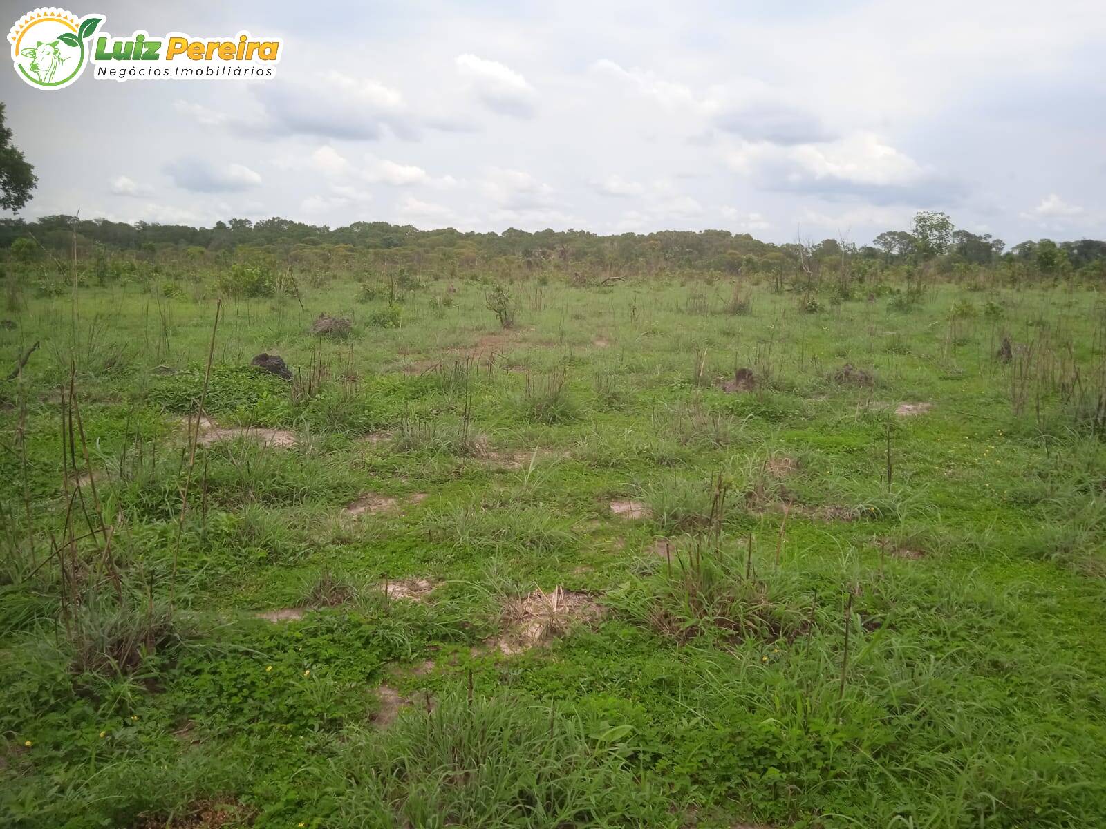 Terreno à venda, 977m² - Foto 4
