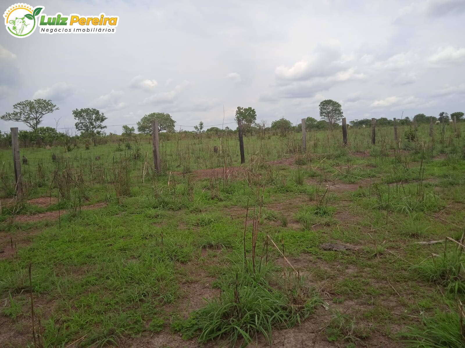 Terreno à venda, 977m² - Foto 3