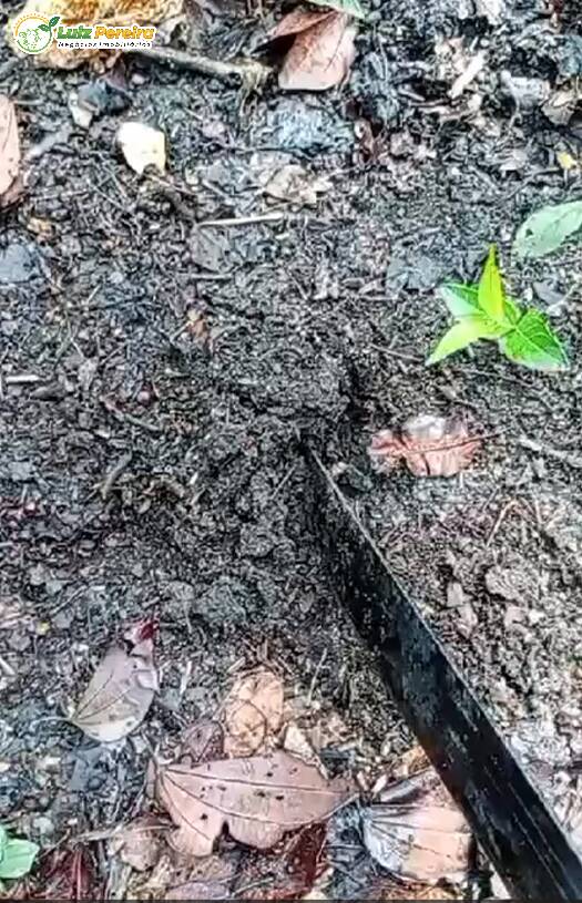 Terreno, 373 m² - Foto 4