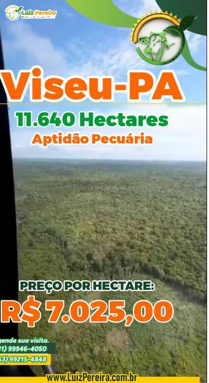 Terreno à venda, 11640m² - Foto 1