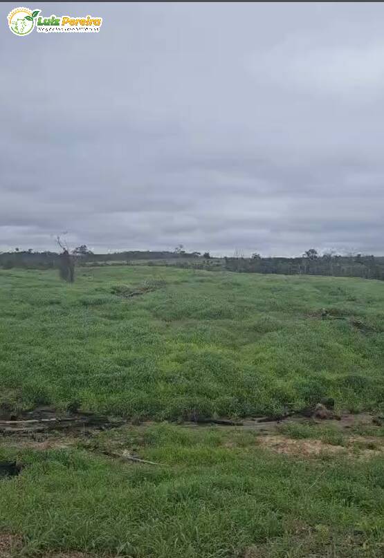 Terreno à venda, 1035m² - Foto 6