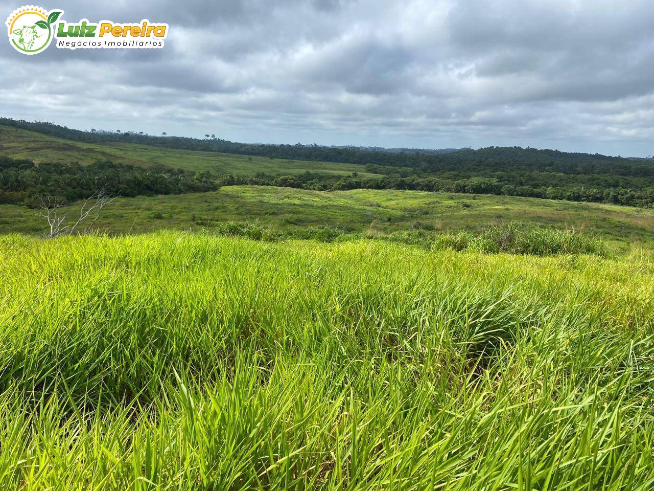 Terreno, 822 m² - Foto 8