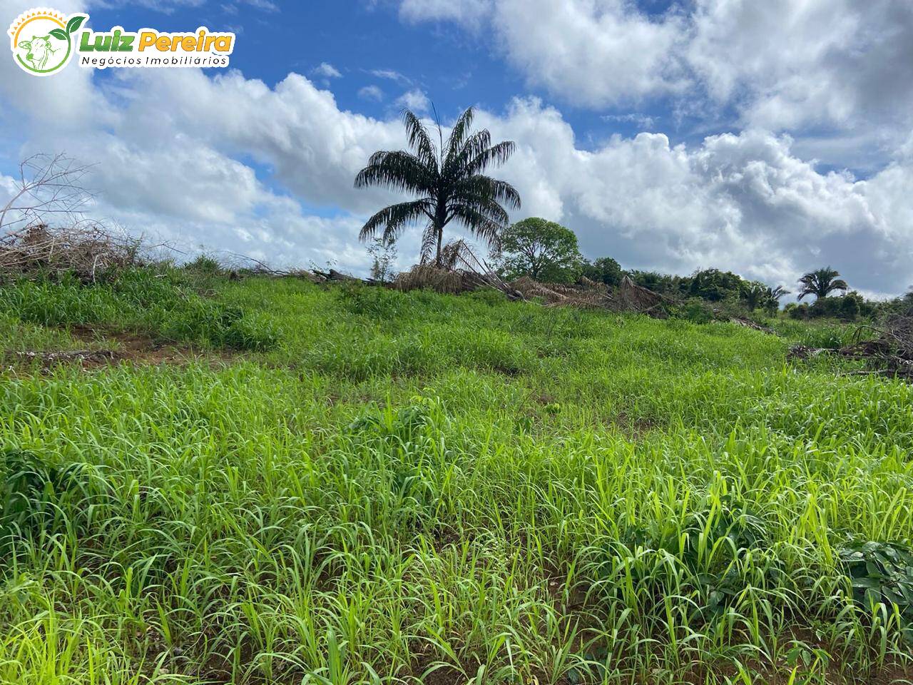 Terreno, 822 m² - Foto 10