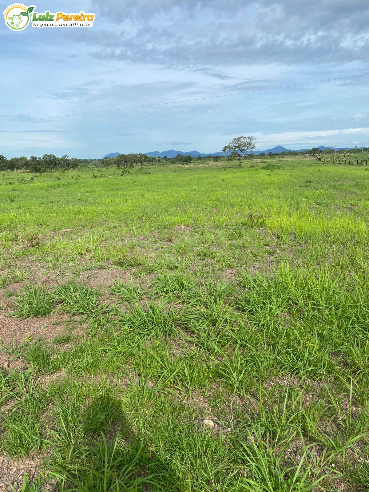 Terreno, 842 m² - Foto 4