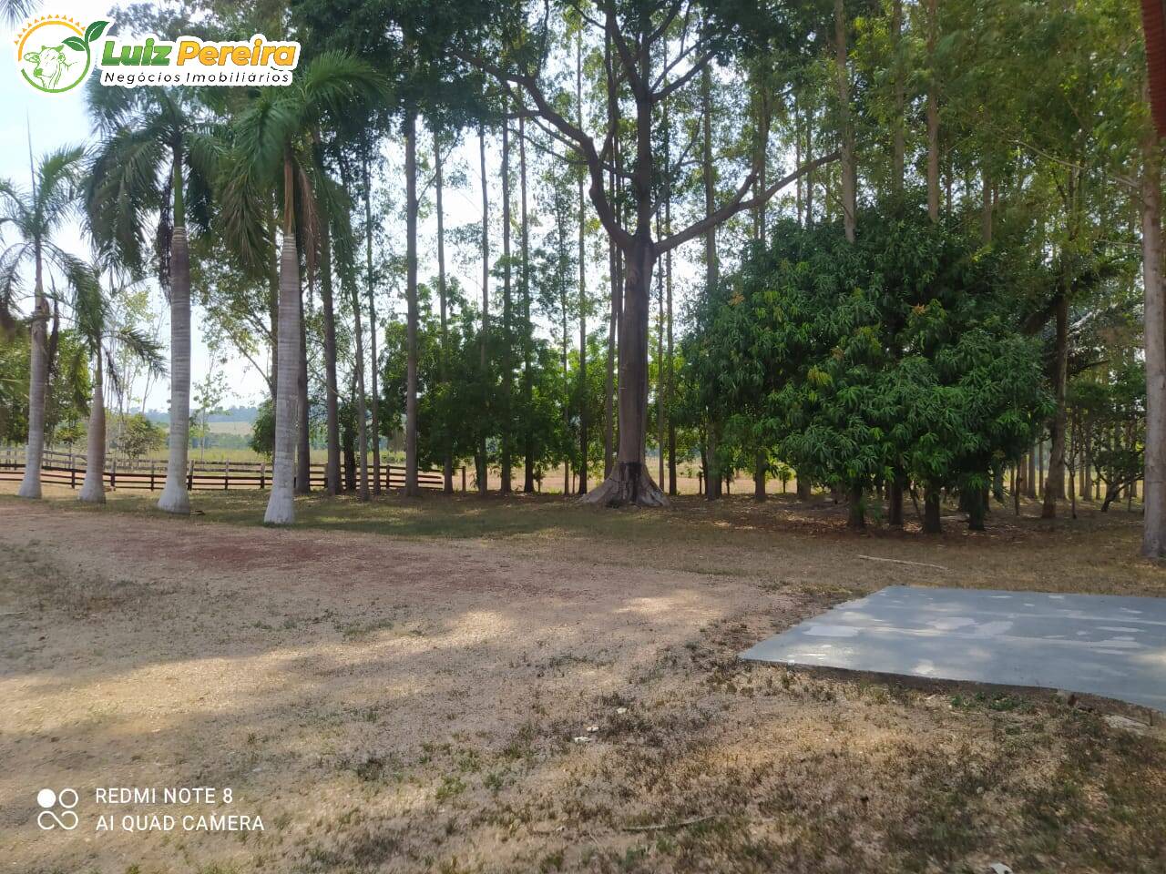 Terreno à venda, 4782m² - Foto 1