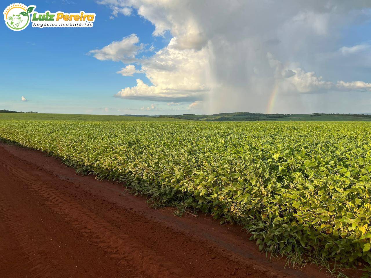 Terreno, 1030 m² - Foto 5