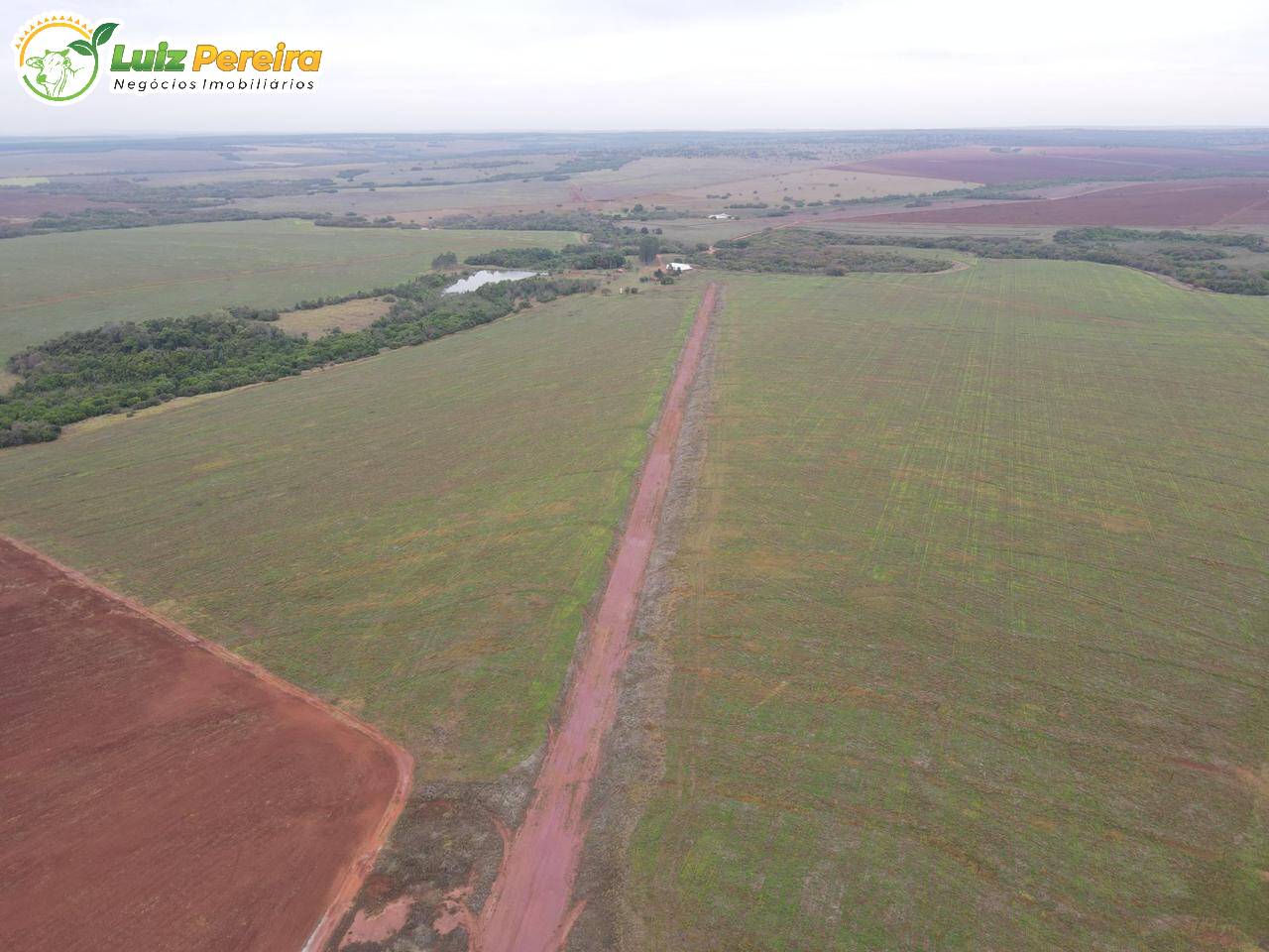 Terreno, 1030 m² - Foto 3