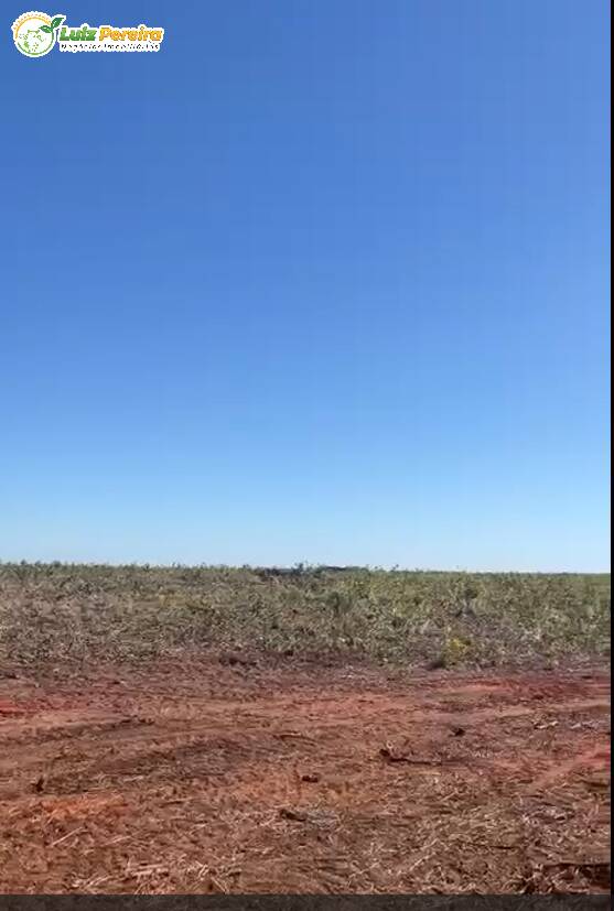 Terreno à venda, 8000m² - Foto 2