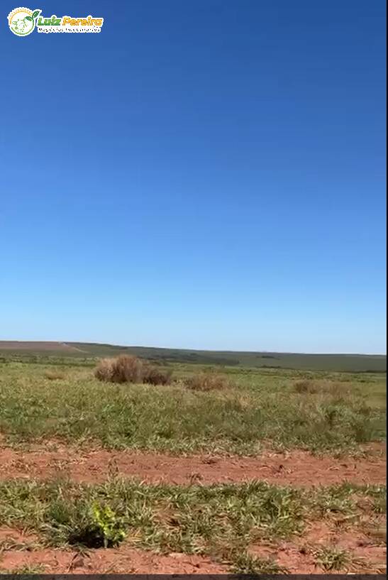 Terreno à venda, 8000m² - Foto 3