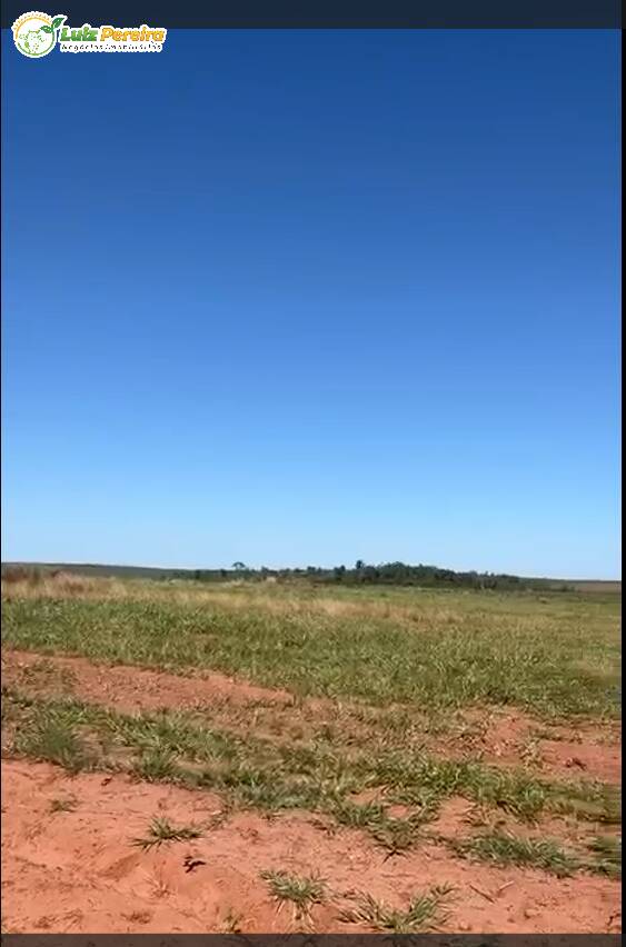 Terreno à venda, 8000m² - Foto 1