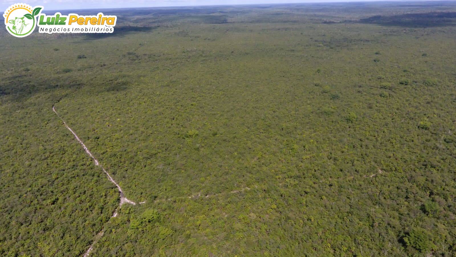 Terreno à venda, 7800m² - Foto 1