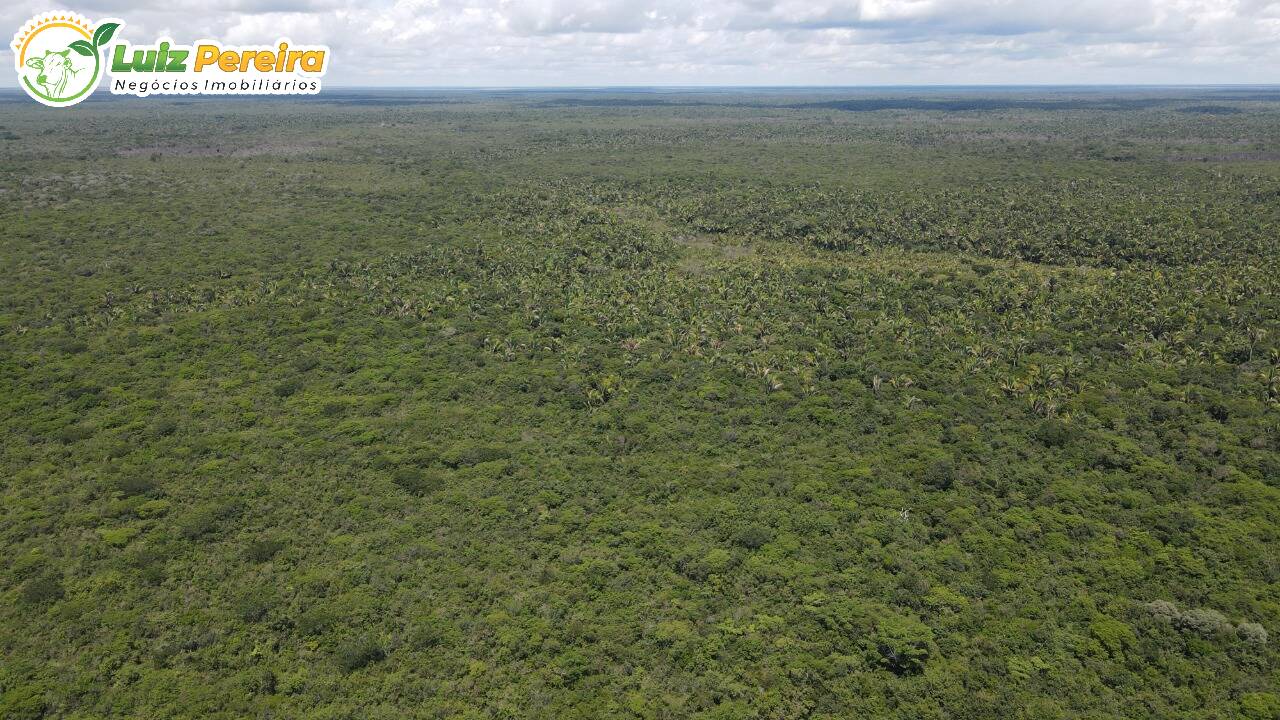 Terreno à venda, 7800m² - Foto 2