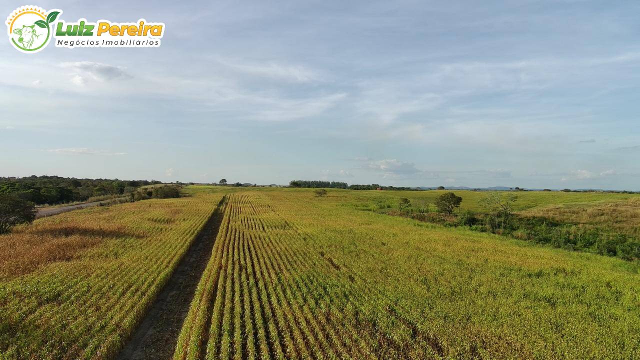 Terreno à venda, 157m² - Foto 4
