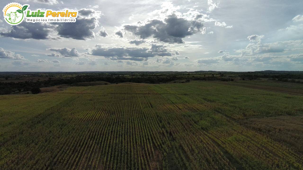 Terreno à venda, 157m² - Foto 10