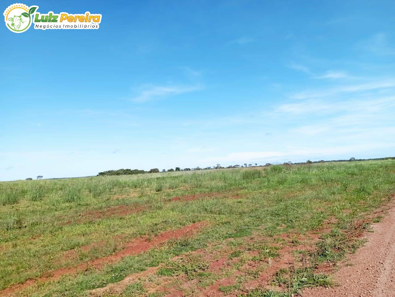 Terreno à venda, 157m² - Foto 16