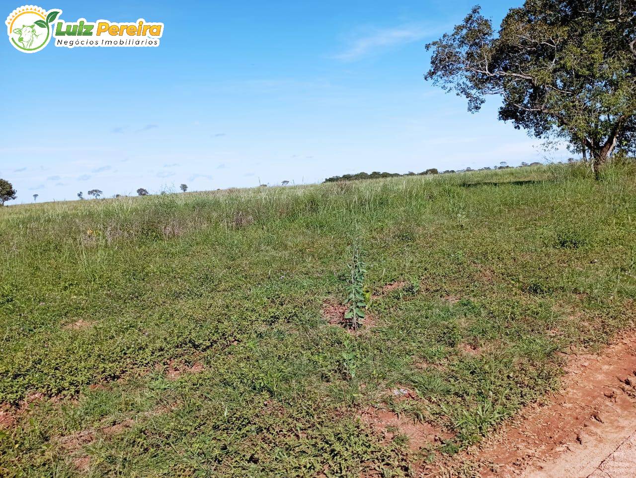 Terreno à venda, 157m² - Foto 15