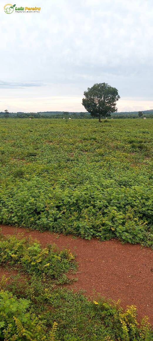 Terreno, 4777 m² - Foto 4