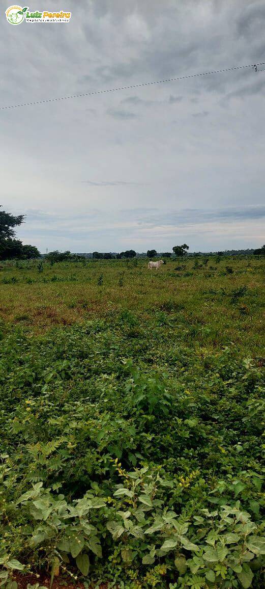 Terreno, 4777 m² - Foto 1