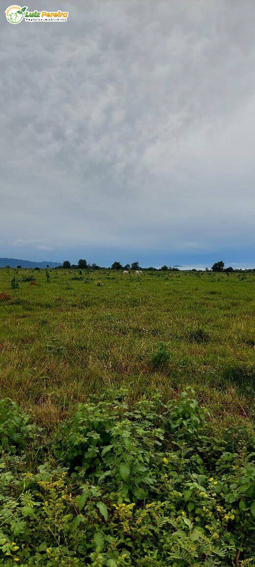 Terreno, 4777 m² - Foto 5