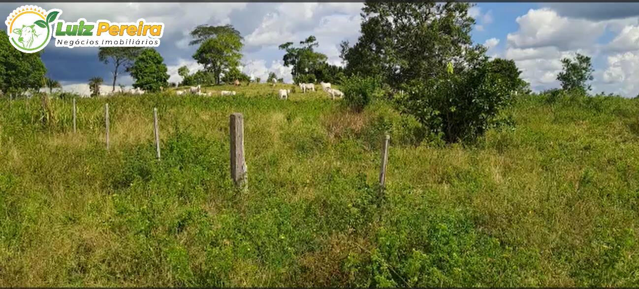 Terreno à venda, 1100m² - Foto 4