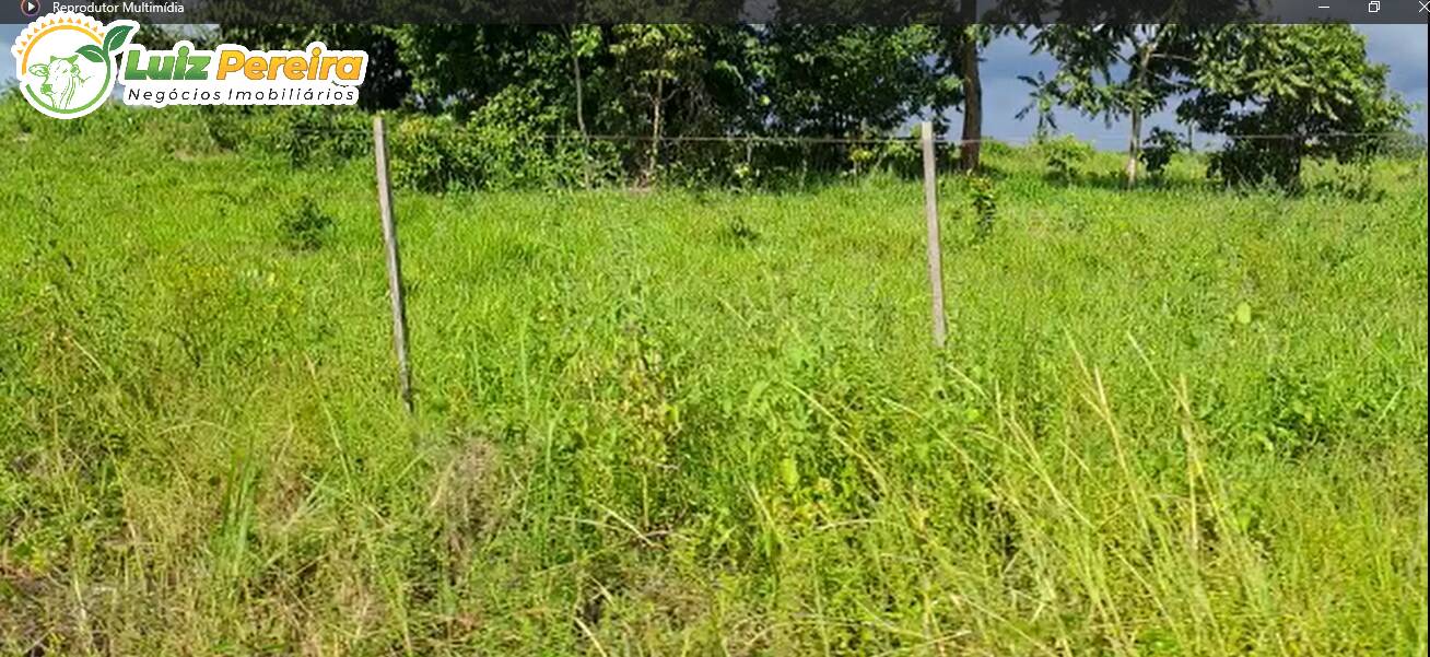 Terreno à venda, 1100m² - Foto 2