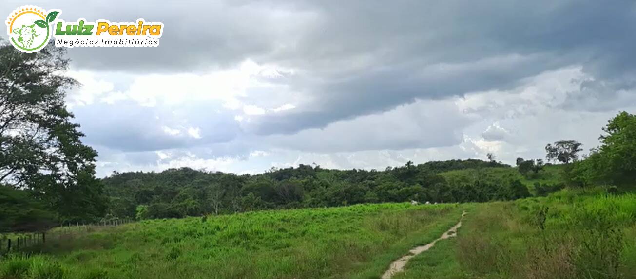 Terreno à venda, 1100m² - Foto 3