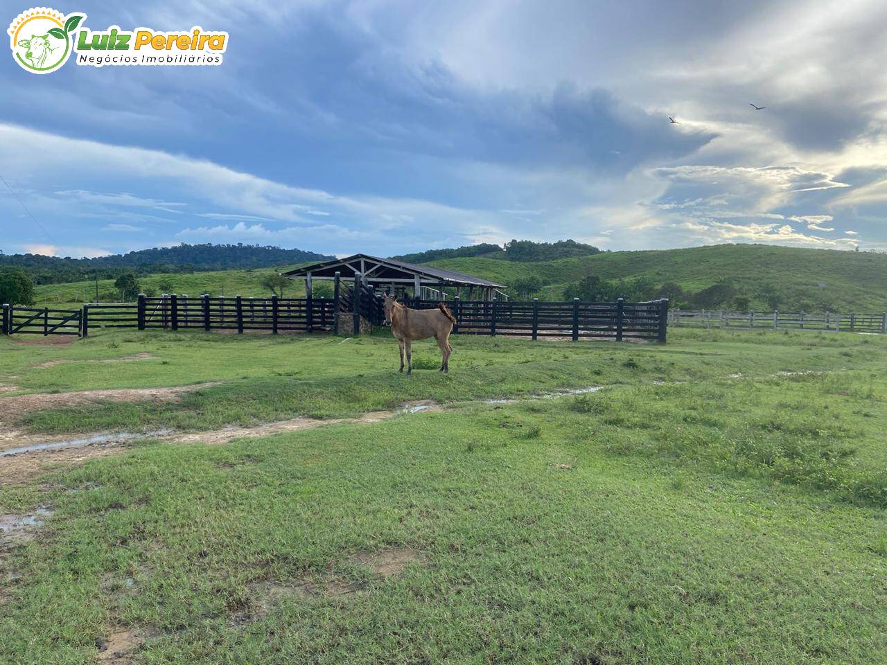 Terreno, 822 m² - Foto 18