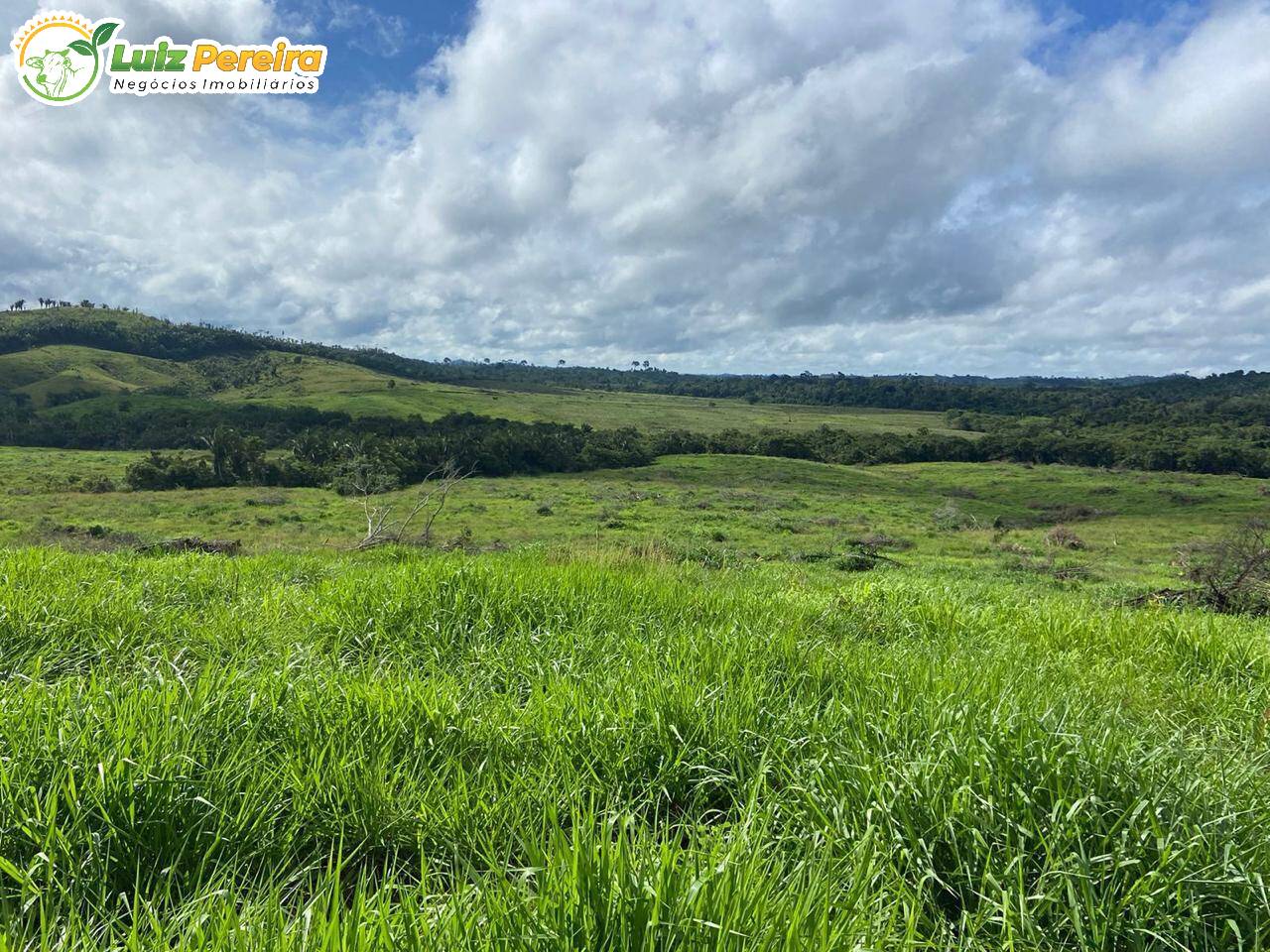 Terreno, 822 m² - Foto 9