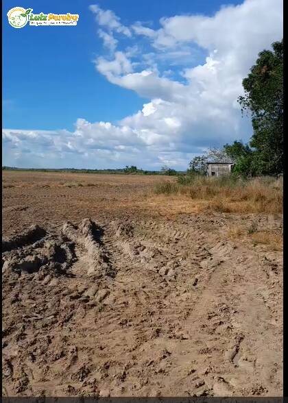 Terreno à venda, 372m² - Foto 4