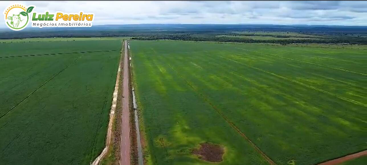 Terreno, 2442 m² - Foto 4