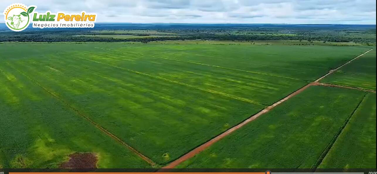 Terreno, 2442 m² - Foto 5