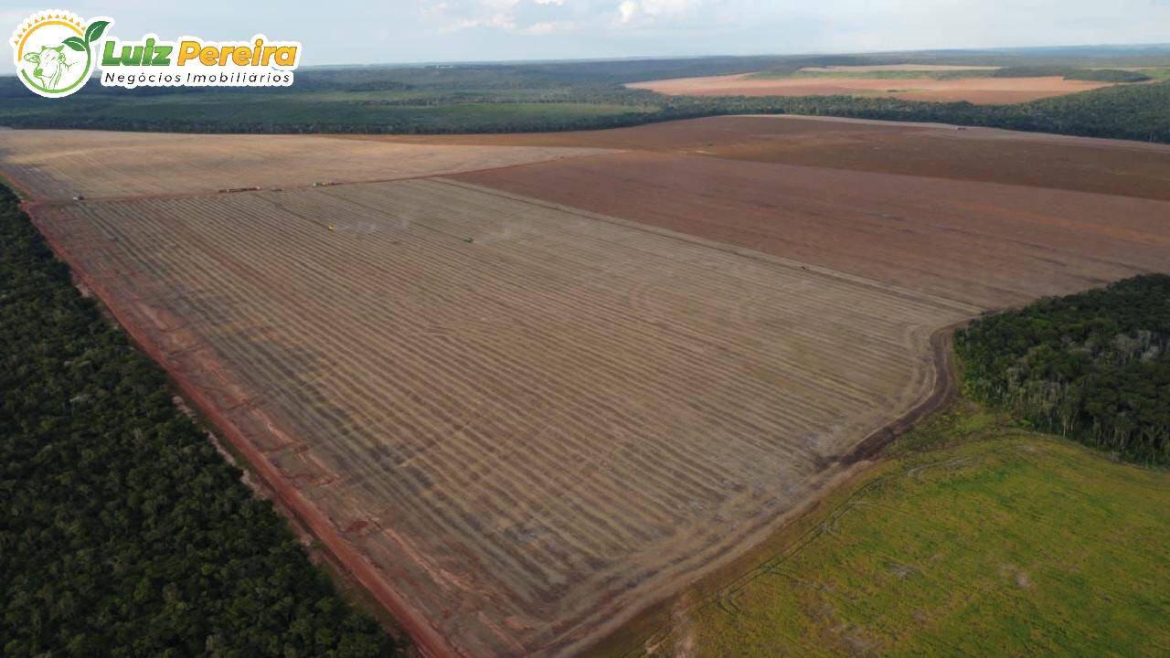 Terreno à venda, 6402m² - Foto 2